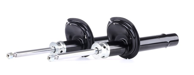 RIDEX 854S2366 Stoßdämpfer