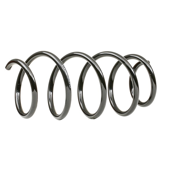 RIDEX 188C0747 Chassisveer