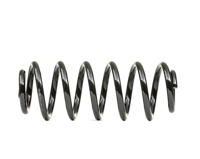 RIDEX 188C0873 Ressort de suspension