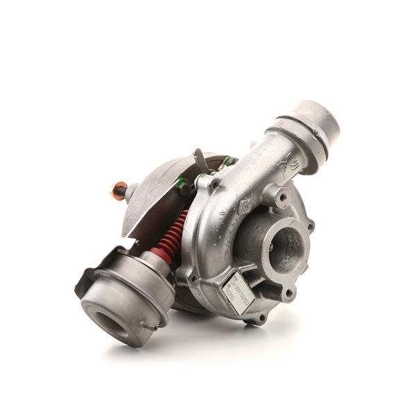 Turbo RIDEX REMAN 2234C0117R
