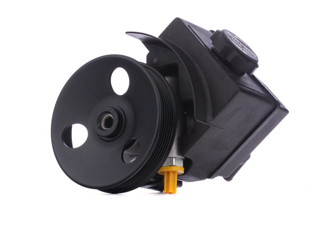 RIDEX 12H0187 Servopumpe