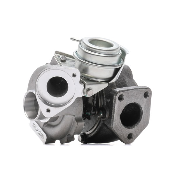 Turbolader 2234C0195 RIDEX 7787626H BMW, ALPINA
