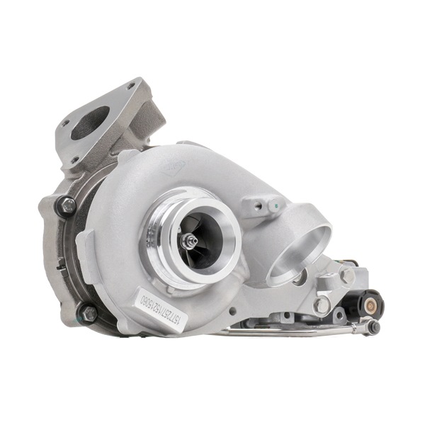 RIDEX 2234C0288 Turbolader Turbolader A6460900980 RIDEX 2234C0288 VW, AUDI, BMW, MERCEDES-BENZ, FORD