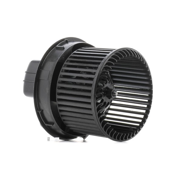 Dmuchawa RIDEX 2669I0165