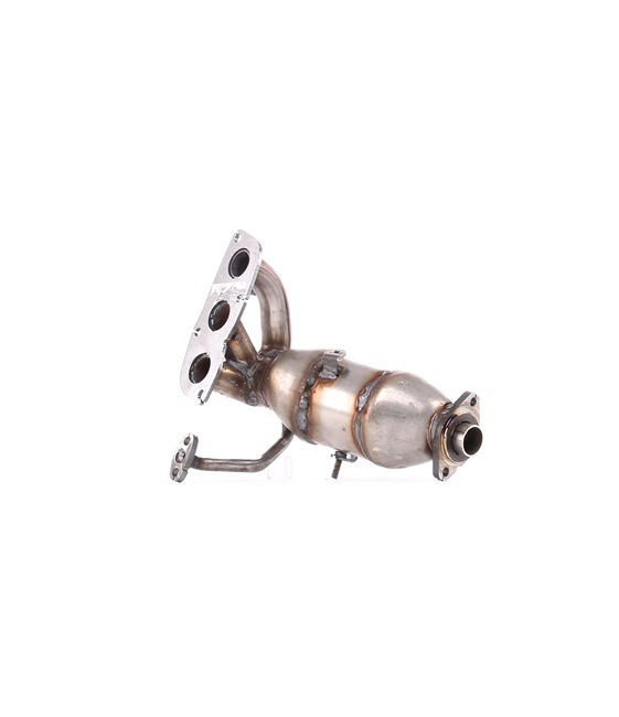 Katalizator 1714040060 RIDEX 429C0040 MERCEDES-BENZ, TOYOTA