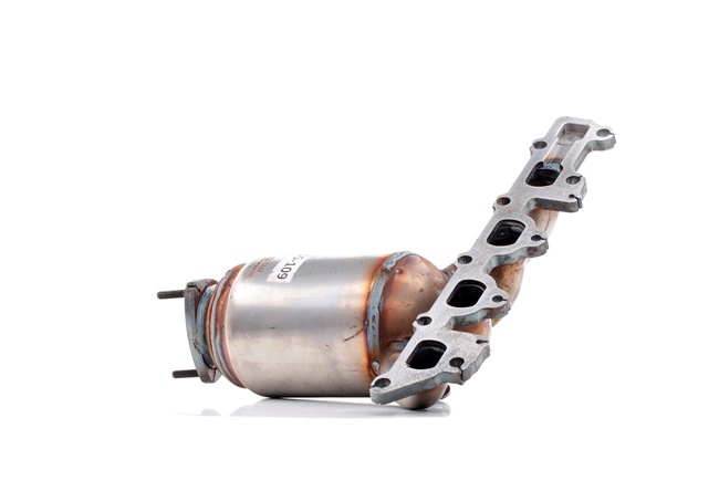Cat RIDEX 429C0138