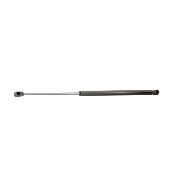 RIDEX 219G0944 Heckklappendämpfer