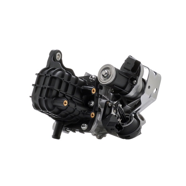 Zawór EGR STARK SKCEG-4580004