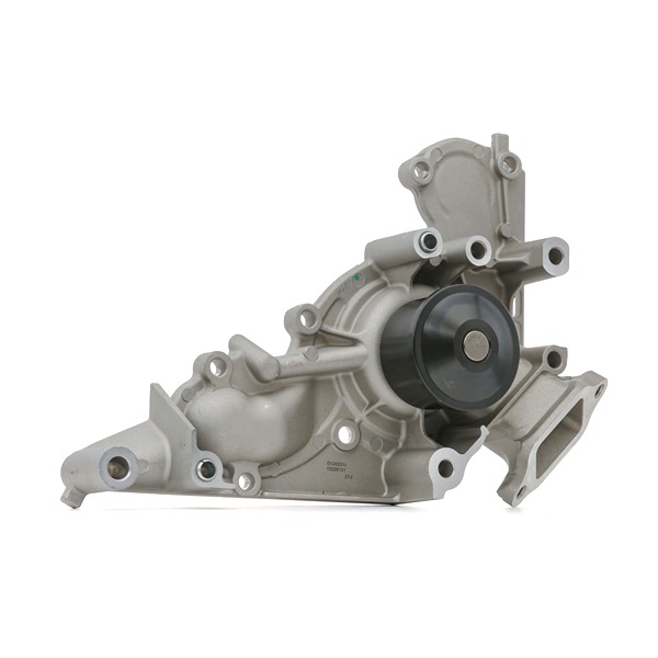 STARK 15226151 pompe à eau SC Z30 prix