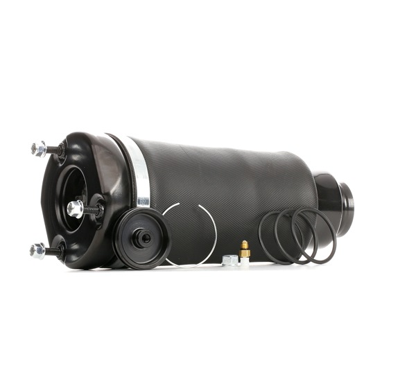 Luftfeder, Fahrwerk 4119A0035 RIDEX A2513205713 MERCEDES-BENZ