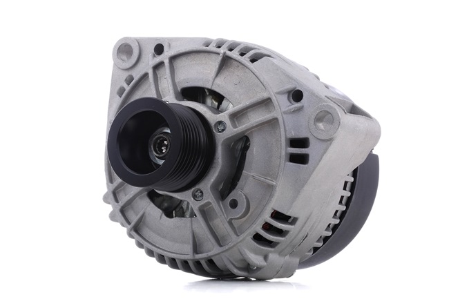 15231792 Växelströmsgenerator STARK REXTON pris
