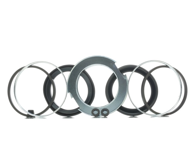 RIDEX 405R0107 Bremssattel-Reparatursatz