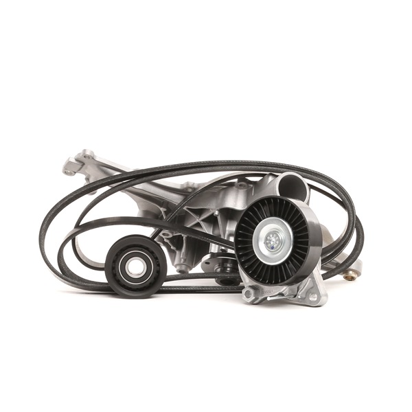 15233879 RIDEX 4172P0004 Kit de courroie d'accessoire CHRYSLER CROSSFIRE 2007 prix