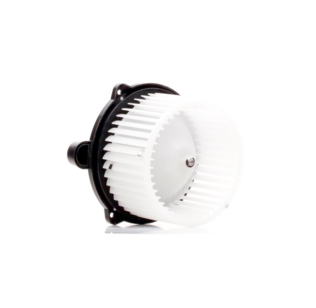 Dmuchawa RIDEX 2669I0172