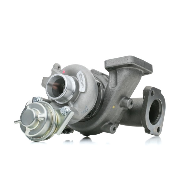 15234355 RIDEX 2234C0319 Turbo MITSUBISHI Pajero III SUV Cabrio (V6_W, V7_W) pris
