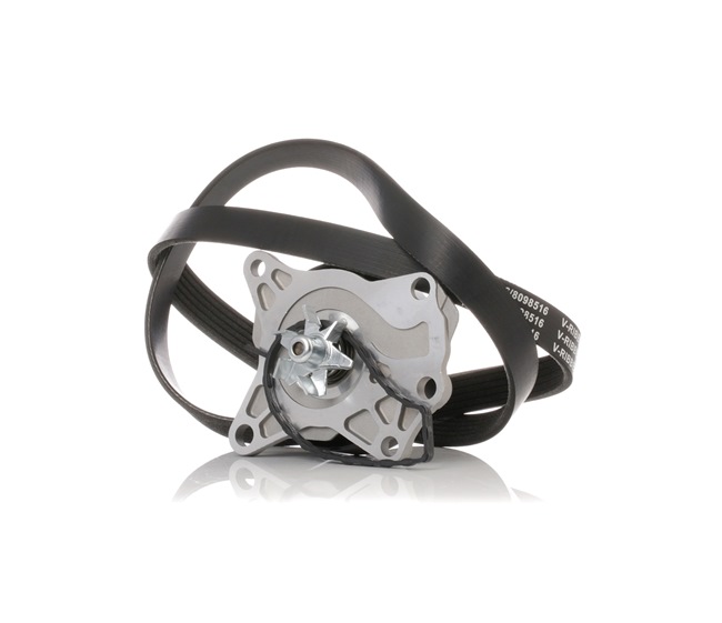 Poly v riemen kit RIDEX 4172P0007