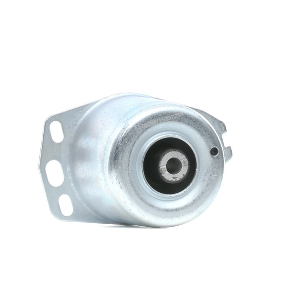 RIDEX 247E0420 Έδραση, κινητήρας