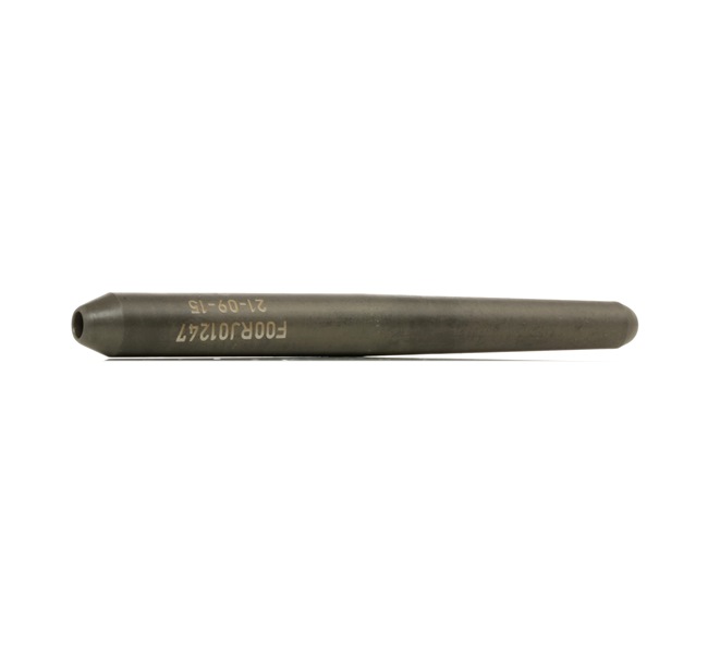 15243567 Injectoren BOSCH MAN kosten