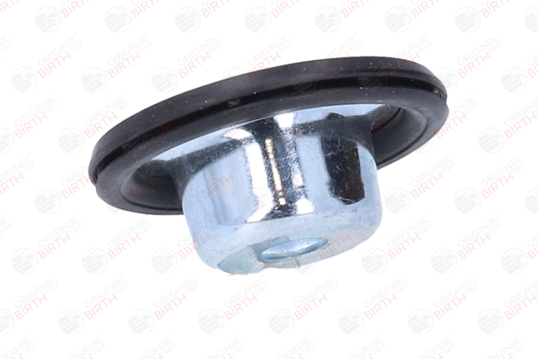 BIRTH 53590 Federteller VW GOLF 1.4 16V 75 PS Benzin