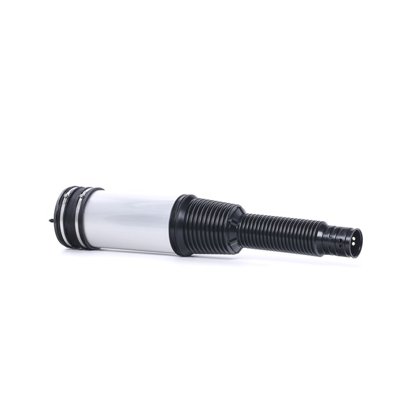 Luftfeder, Fahrwerk 4119A0039 RIDEX A2203205013 MERCEDES-BENZ
