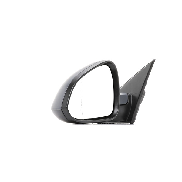 RIDEX 50O0567 Rétroviseur extérieur