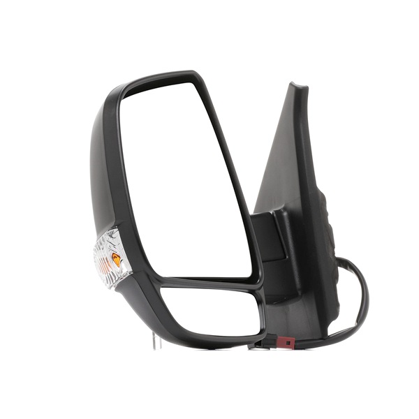 RIDEX 50O0576 Backspegel
