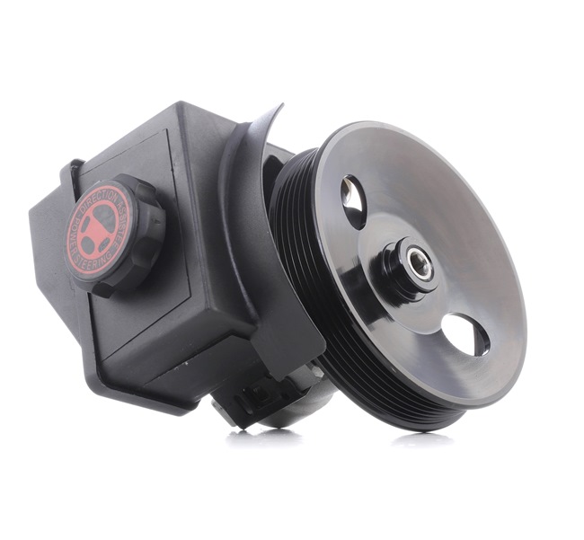 RIDEX 12H0231 Servopumpe