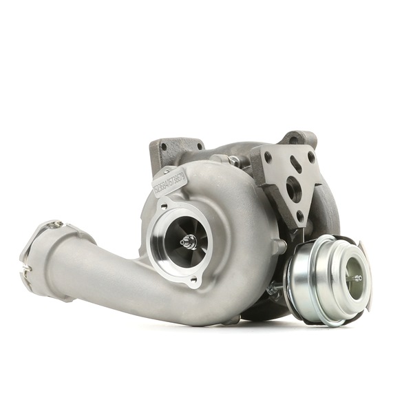 15738679 RIDEX 2234C0362 VW T5 Turbo
