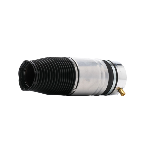 RIDEX 4119A0042 Molla pneumatica
