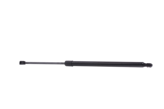 RIDEX 219G0952 Heckklappendämpfer