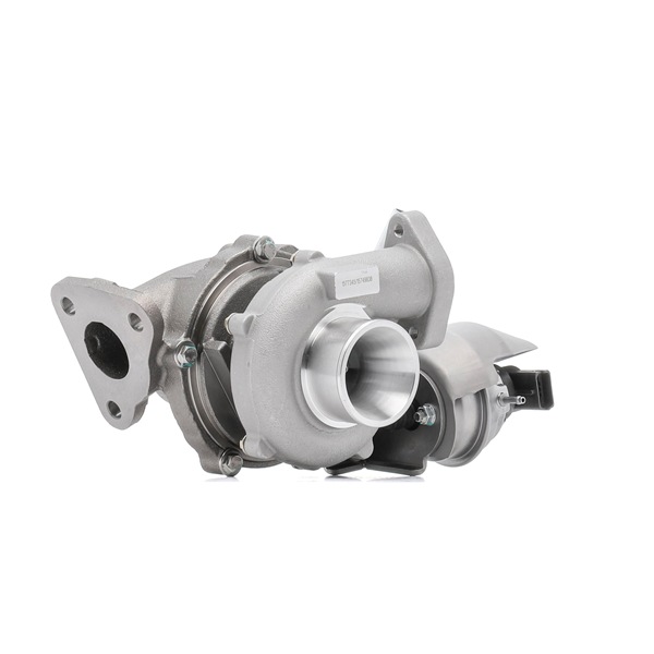 RIDEX 2234C0393 Turbo para motor RIDEX 2234C0393