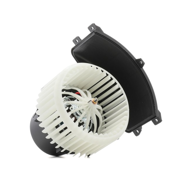 Aanjager RIDEX 2669I0184
