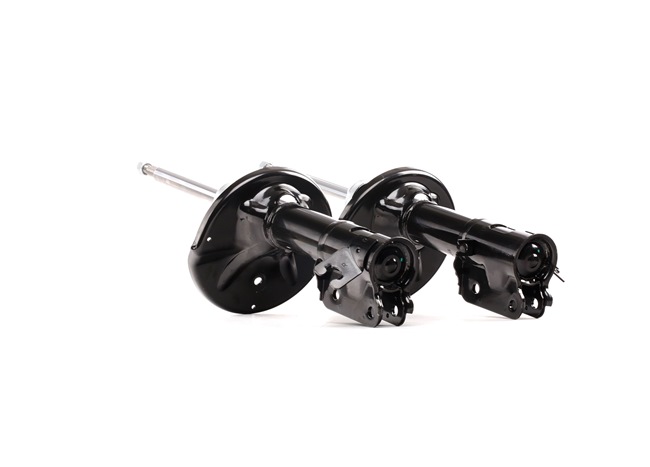 RIDEX 854S2598 Stoßdämpfer