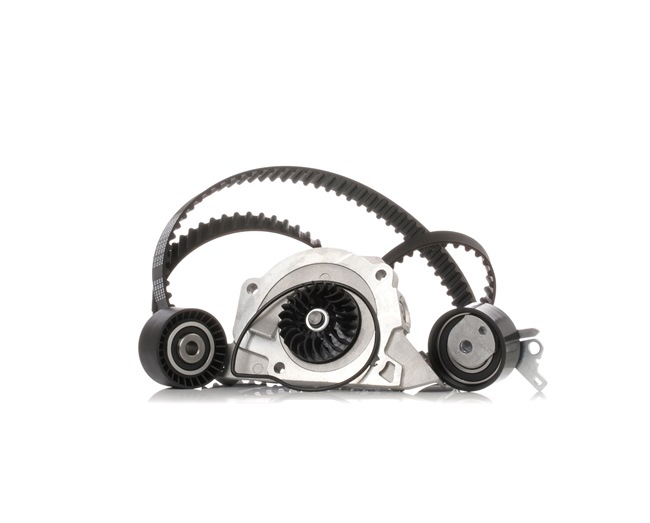 Timing belt replacement kit RIDEX 3096W0309