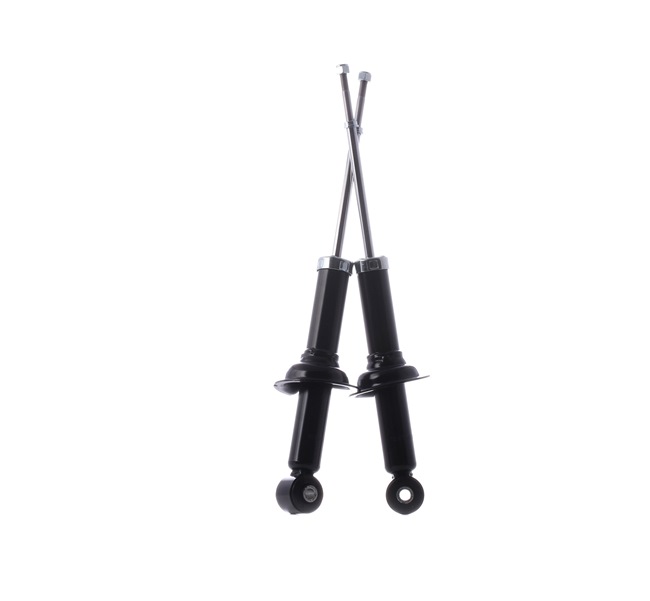 Gólyaláb RIDEX 854S17838