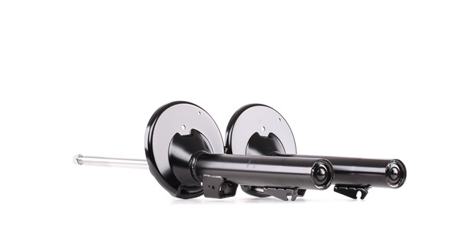 RIDEX 854S17840 Amortizor
