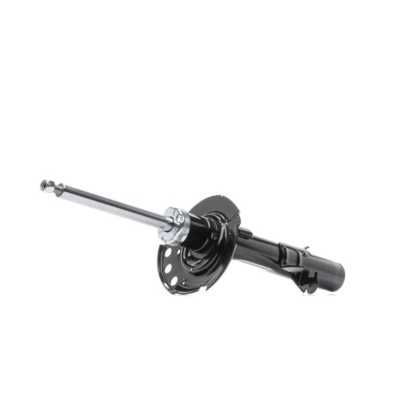 RIDEX 854S17886 Schokdemper
