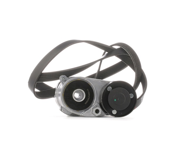 Serpentine belt kit STARK SKRBS-1200533