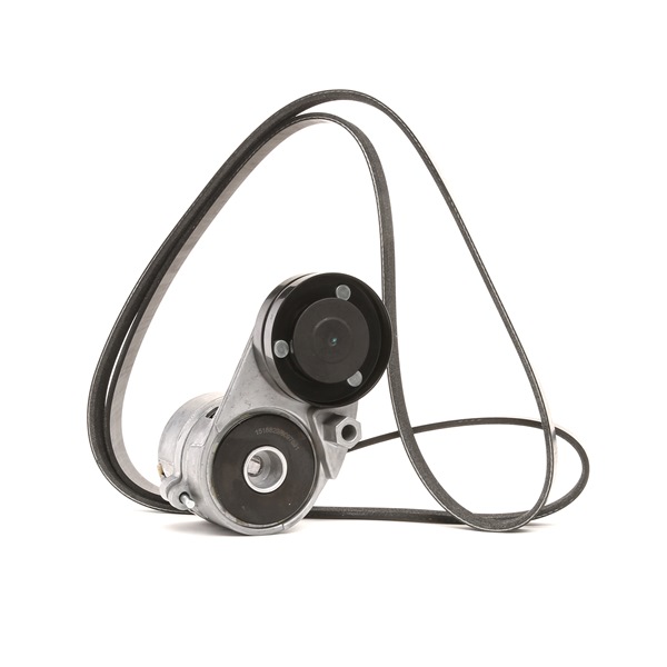 Ιμάντας δυναμό RIDEX 542R0534