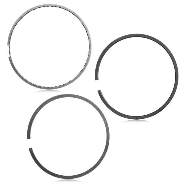 RIDEX 444P0030 Set segmenti piston