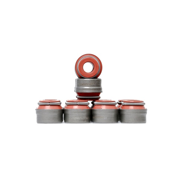 15786957 323S0013 OEM Uszczelniacze zaworowe RIDEX cena