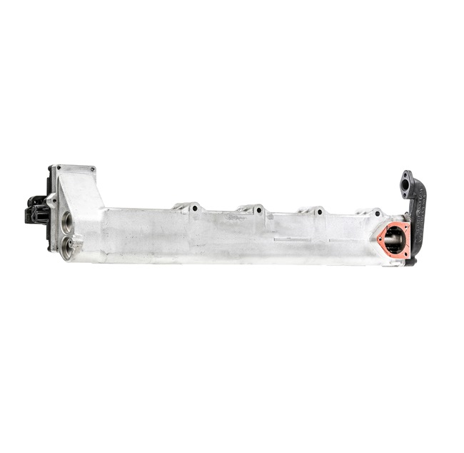 RIDEX REMAN 4198E0009R AGR-Modul