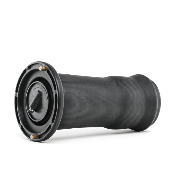 RIDEX 15787168 Air Spring, suspension Land Rover Discovery 2 Damping price