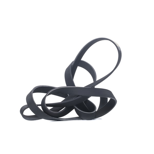RIDEX 305P0469 Aandrijfriem FORD Transit Mk5 Bus (V184, V185) 2.4 DI RWD (F_B_, F_C_) 75 Pk Diesel F4FA