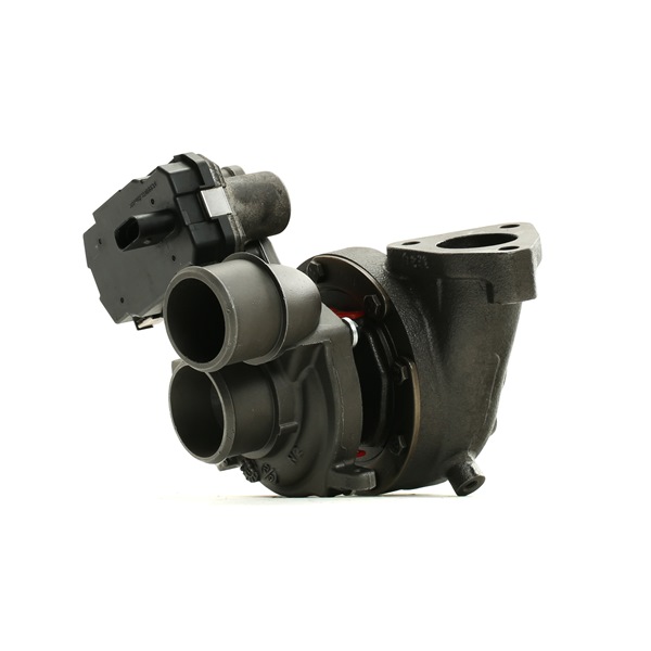 Turbochargers RIDEX REMAN 2234C10066R