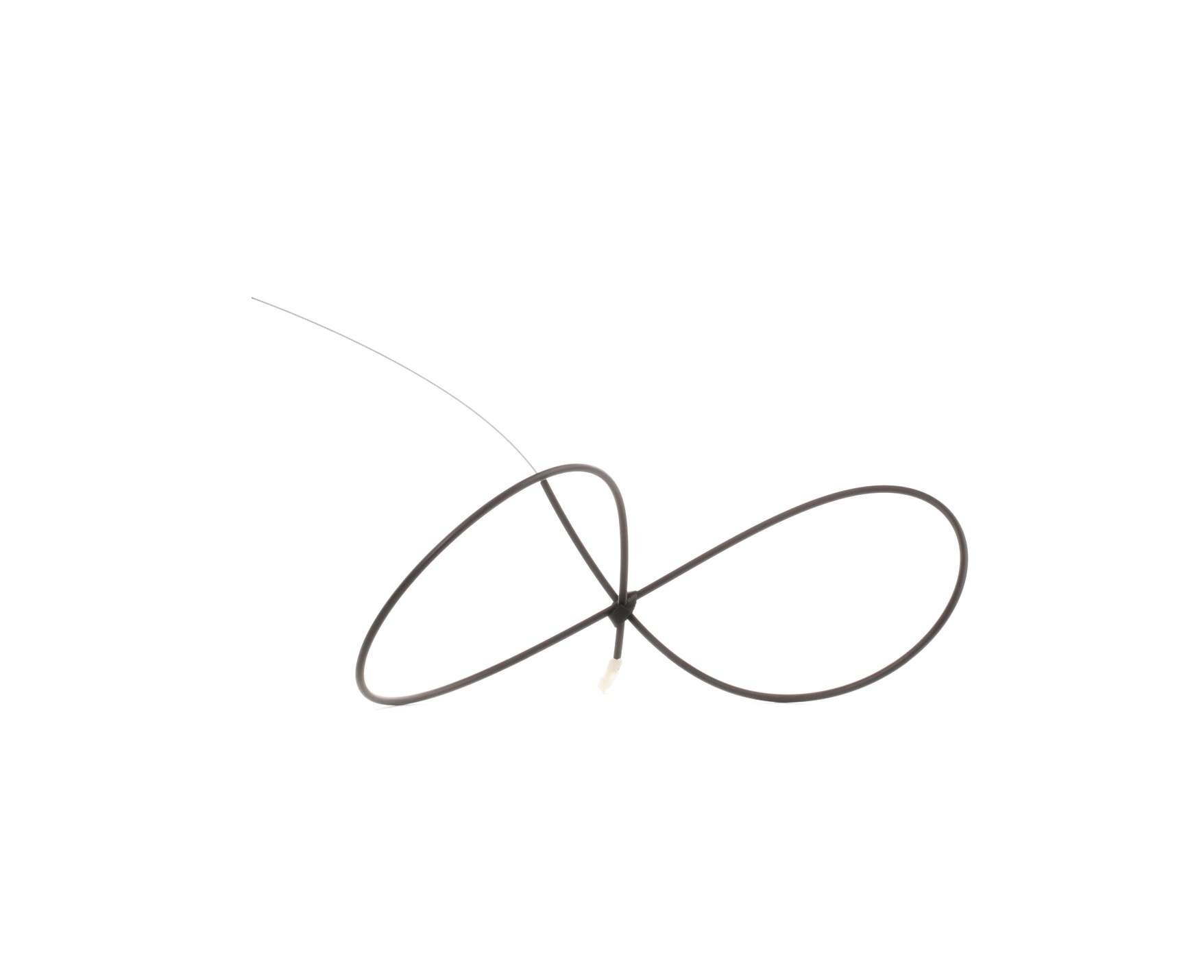 RIDEX 618A0010 Gaszug Renault Megane 2 Cabrio Kosten