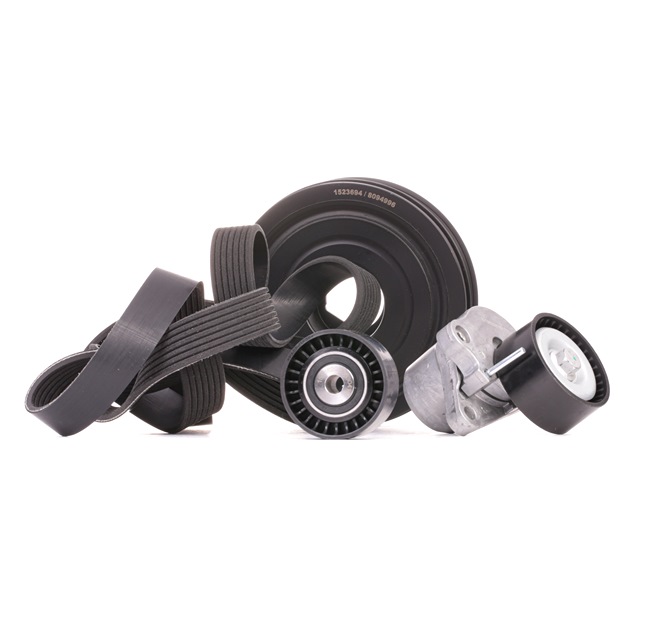 Multisnaar RIDEX 542R0546