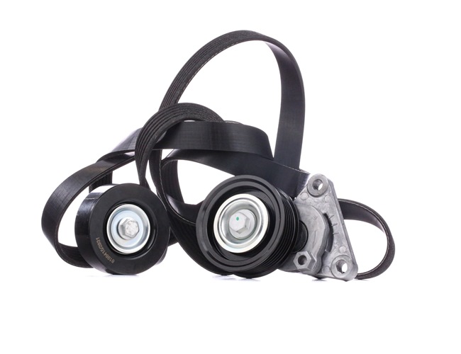 RIDEX 542R0547 Jogo de correias trapezoidais estriadas