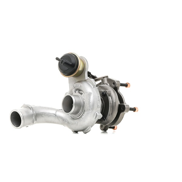 Turbo RIDEX REMAN 2234C10134R