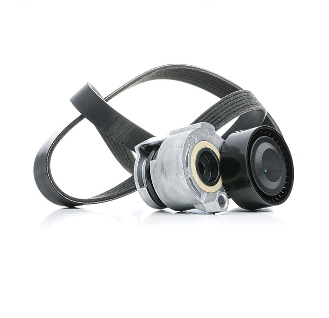RIDEX 542R0553 Poly-V-riem RENAULT Kangoo II Express (FW) 1.5 dCi 80 (FW15) 80 Pk Diesel K9K 872